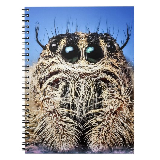 I've got my eyes on you! ノートブック (正面)