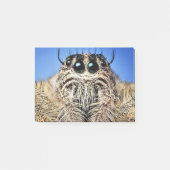 I've got my eyes on you! ポストイット (正面)