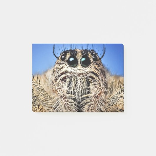 I've got my eyes on you! ポストイット (正面)