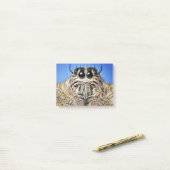 I've got my eyes on you! ポストイット (デスク上)