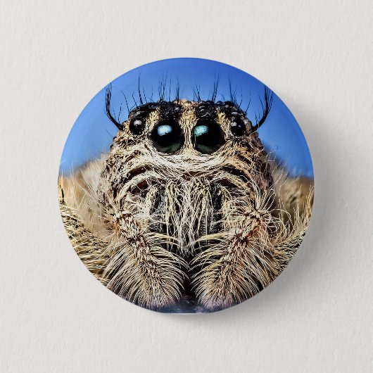 I've got my eyes on you! 缶バッジ (正面)