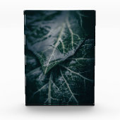 Ivy自然写真 フォトブロック (正面)