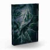 Ivy自然写真 フォトブロック (左)