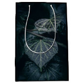 Ivy自然写真 ミディアムペーパーバッグ (正面)