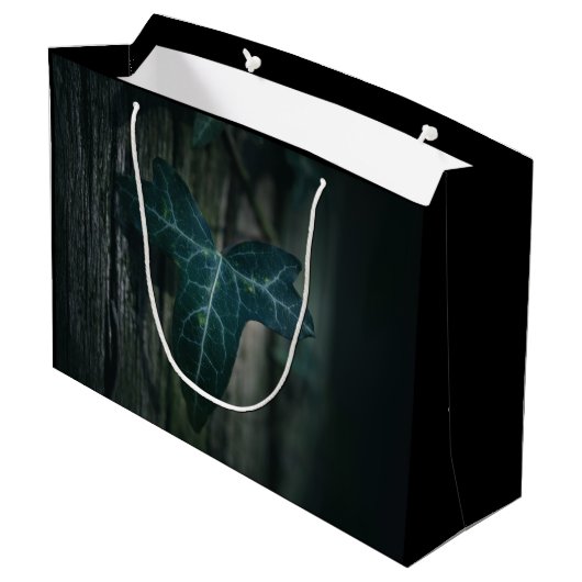 Ivy自然写真 ラージペーパーバッグ (裏面アングル)