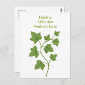 Ivy – 忠実度、愛情、愛結婚。 ポストカード (正面/裏面)
