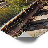 Ivy and Graffiti Covered Abandoned Train ポスター (角)