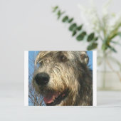 iw.png ポストカード (スタンド正面)