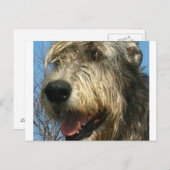 iw.png ポストカード (正面/裏面)