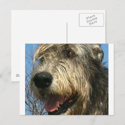 iw.png ポストカード (正面/裏面)