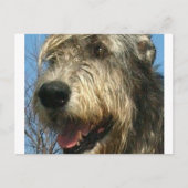 iw.png ポストカード (正面)