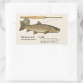 Iwana (Salvelinus leucomaenis) – Fish Illustration 長方形シール (バッグ)