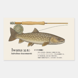 Iwana (Salvelinus leucomaenis) – Fish Illustration 長方形シール