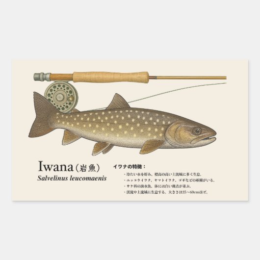 Iwana (Salvelinus leucomaenis) – Fish Illustration 長方形シール (正面)