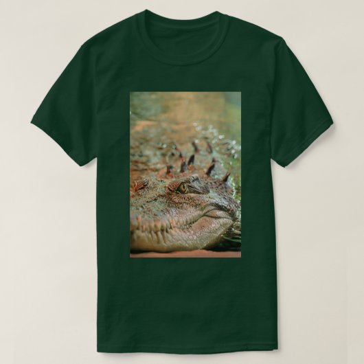 Ix27mの監視親愛 Tシャツ (デザイン正面)