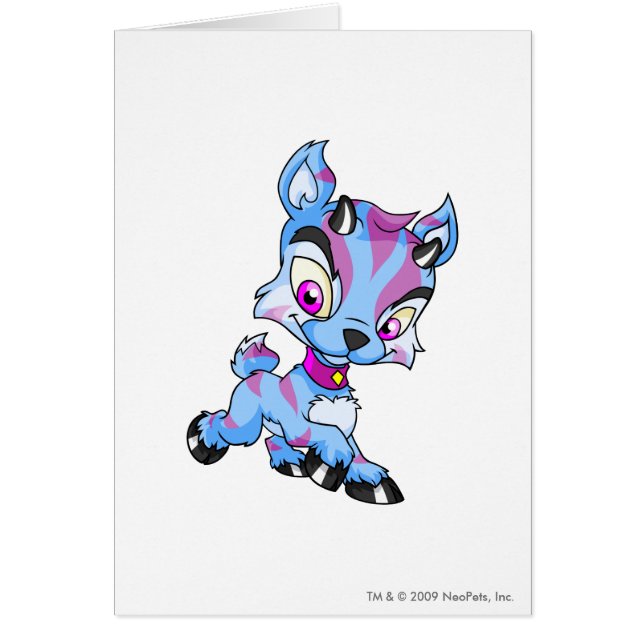 Ixiストライプの (正面)