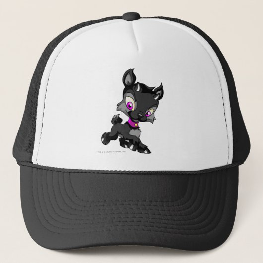 Ixi影 キャップ (正面)