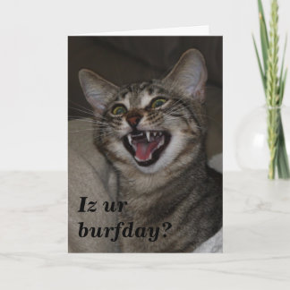 Iz ur burfday？写真ユーモアのあるの誕生日カード カード