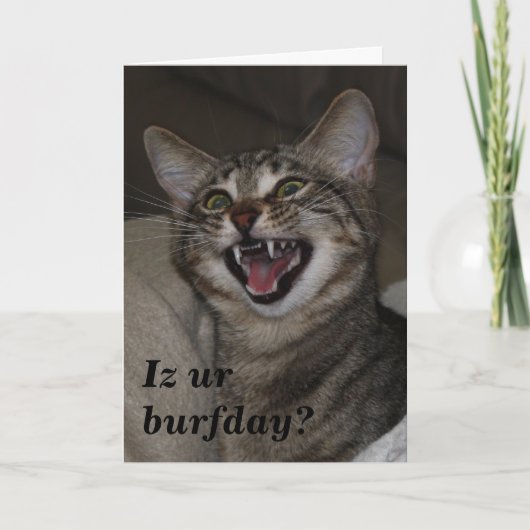 Iz ur burfday？写真ユーモアのあるの誕生日カード カード (正面)