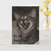 Iz ur burfday？写真ユーモアのあるの誕生日カード カード (黄色い花)