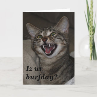 Iz ur burfday？写真ユーモアのあるの誕生日カード カード