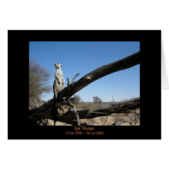 Izit -伝説カード (正面横)