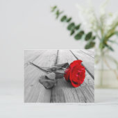 j0440294 ポストカード (スタンド正面)