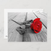 j0440294 ポストカード (正面/裏面)