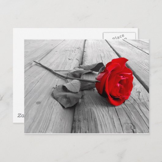 j0440294 ポストカード (正面/裏面)