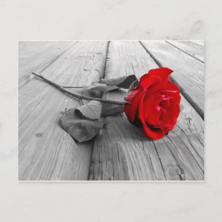 j0440294 ポストカード