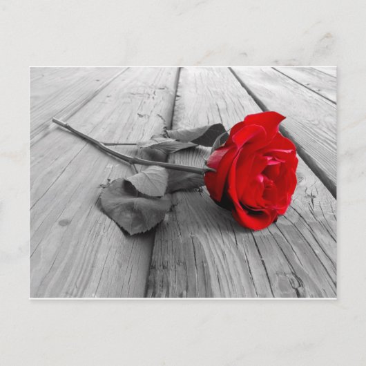 j0440294 ポストカード (正面)