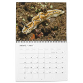 J.ファザーリーによるウミウシの壁カレンダー2 カレンダー (1月 2027)