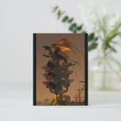 J.マシュー・ルートによる空の激怒 ポストカード (スタンド正面)