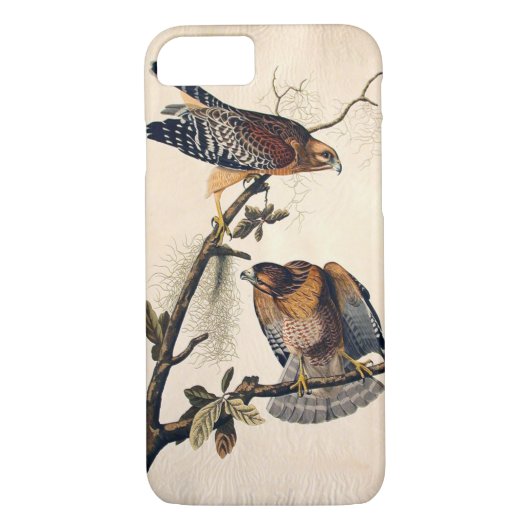 J. Audubon (赤い背負われたタカ) (1829年) Case-Mate iPhoneケース (裏面)