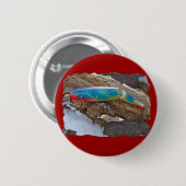 J&H「WIG LIT」ヴィンテージサルタータールアーアイテム 缶バッジ (正面&裏面)