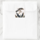 J.J.オードボン(Goshawk, Stanley Hawk) (1829) スクエアシール (バッグ)