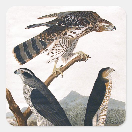 J.J.オードボン(Goshawk, Stanley Hawk) (1829) スクエアシール (正面)