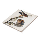 J.J. Audubon (赤い背負われたタカ) (1829年) タイル (側面)