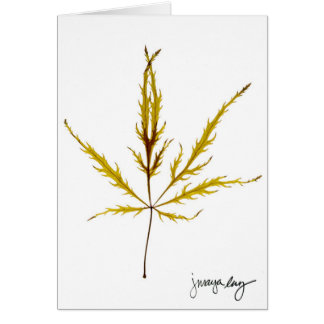 "J. Maya Luzによって葉"をエッチングしました