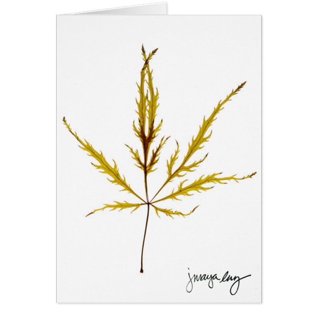 "J. Maya Luzによって葉"をエッチングしました (正面)