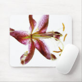 J. Maya Luz著"ユリ" マウスパッド (マウス)