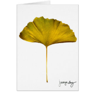 J. Maya Luz著"Gingko"