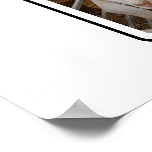 J Monogram独自の6枚のフォトコラージュをカスタム作成 ポスター (角)