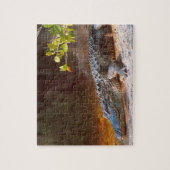 J.N.でアメリカのアリゲーターのクローズアップ。 ジグソーパズル (縦)