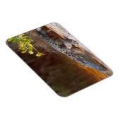 J.N.でアメリカのアリゲーターのクローズアップ。 マグネット (右側)