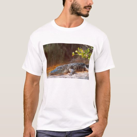 J.N.の アメリカアリゲーターのクローズアップ Tシャツ (正面)