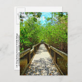 J N Ding Darling国立野生動物避難用はがき ポストカード (正面/裏面)