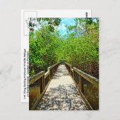 J N Ding Darling国立野生動物避難用はがき ポストカード (正面/裏面)