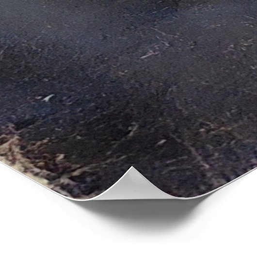 J P Belmond*. ポスター (角)