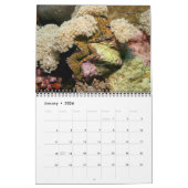 J.W.によるジャイアント·クラム·トリダクナ·マキシマお父さん。 カレンダー (1月 2026)